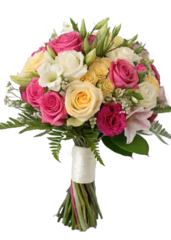 Imagen PNG para descargar